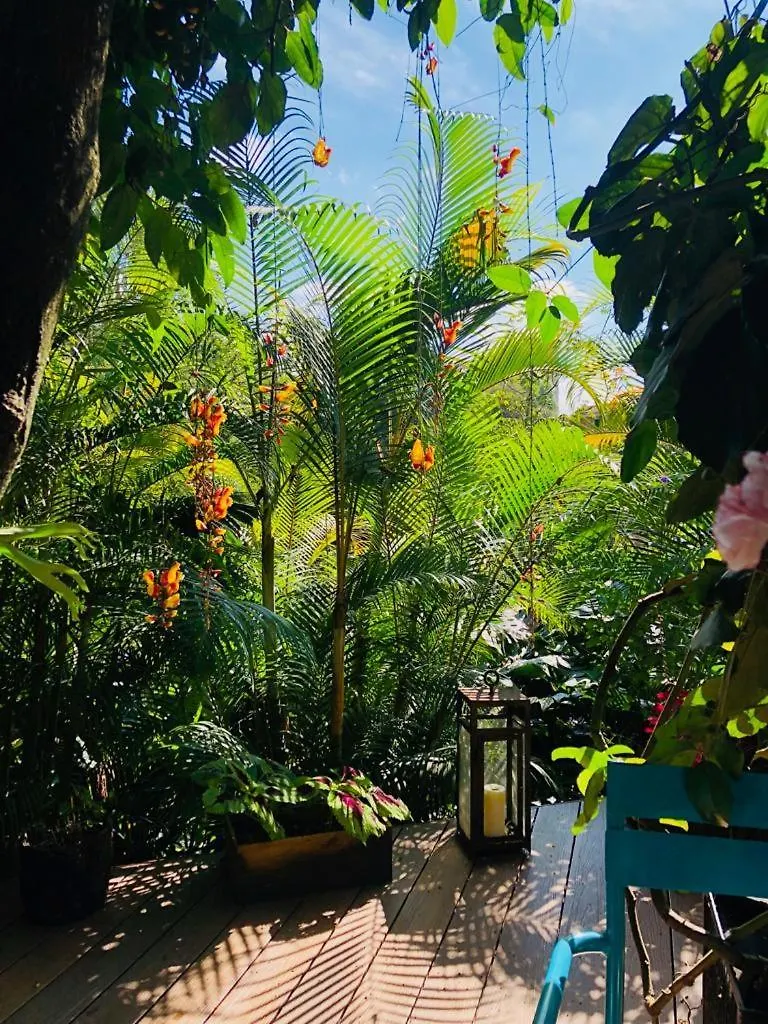 Patio Del Mundo Hotel Medellin